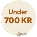 Under 700 kr